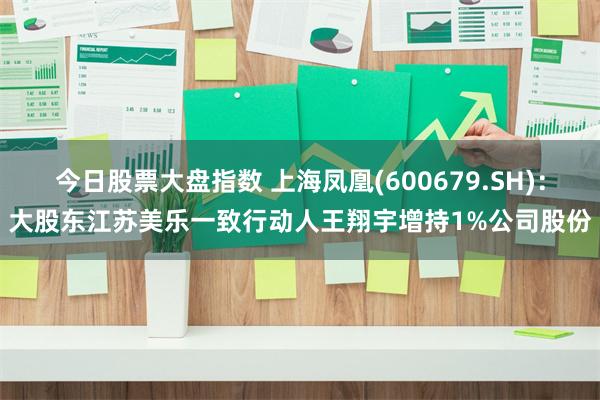 今日股票大盘指数 上海凤凰(600679.SH)：大股东江苏美乐一致行动人王翔宇增持1%公司股份