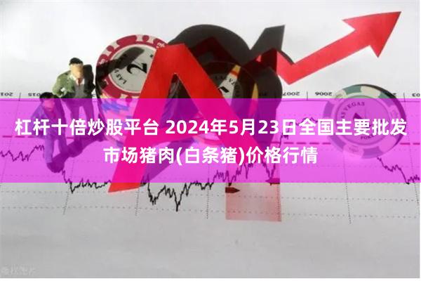 杠杆十倍炒股平台 2024年5月23日全国主要批发市场猪肉(白条猪)价格行情