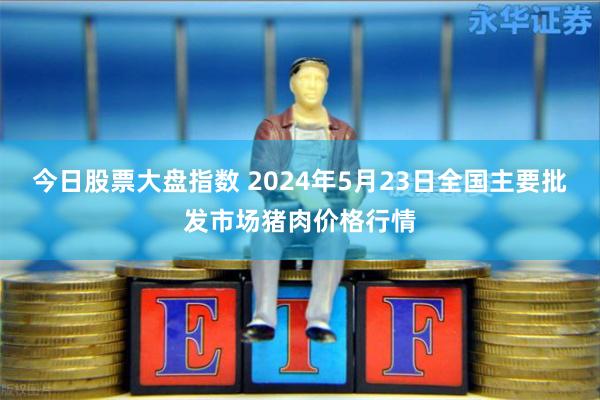 今日股票大盘指数 2024年5月23日全国主要批发市场猪肉价格行情