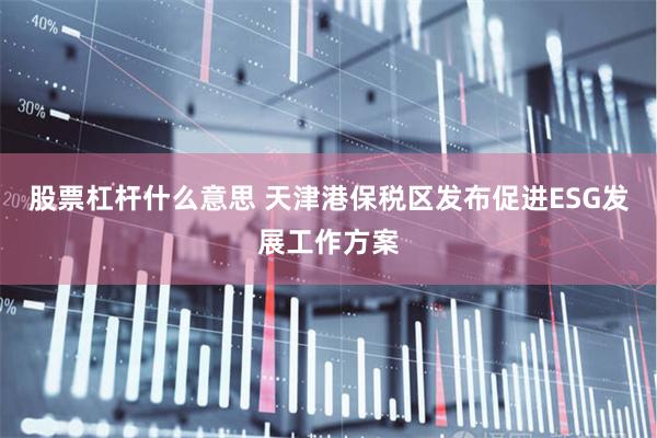 股票杠杆什么意思 天津港保税区发布促进ESG发展工作方案