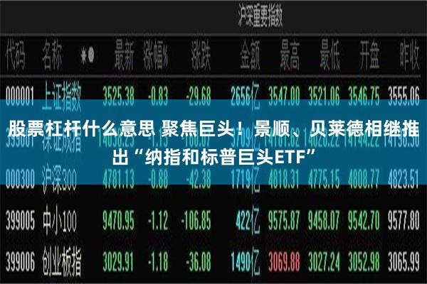 股票杠杆什么意思 聚焦巨头！景顺、贝莱德相继推出“纳指和标普巨头ETF”