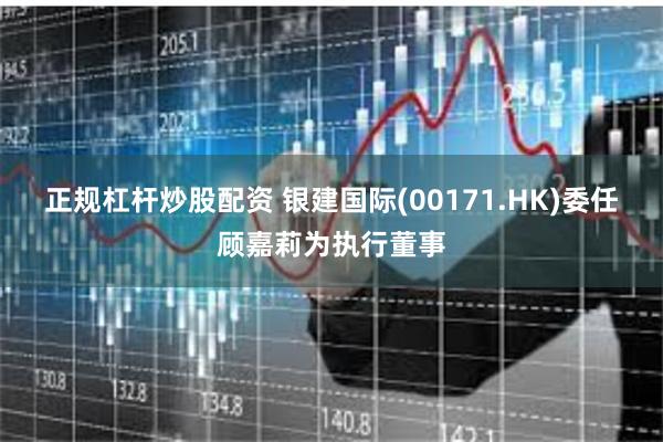 正规杠杆炒股配资 银建国际(00171.HK)委任顾嘉莉为执行董事