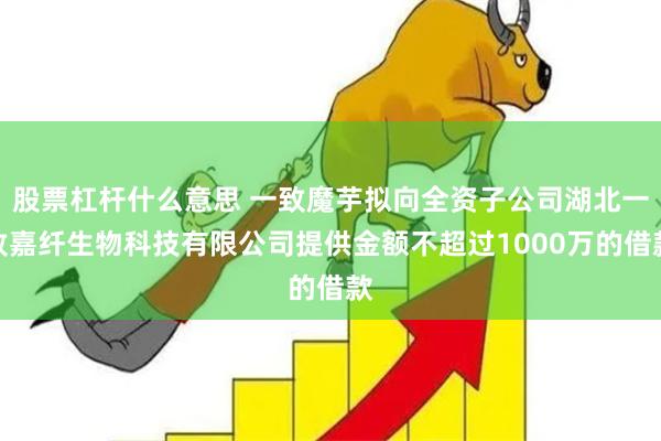 股票杠杆什么意思 一致魔芋拟向全资子公司湖北一致嘉纤生物科技有限公司提供金额不超过1000万的借款