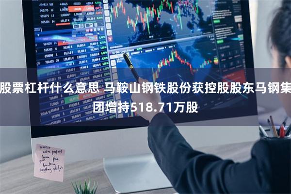 股票杠杆什么意思 马鞍山钢铁股份获控股股东马钢集团增持518.71万股