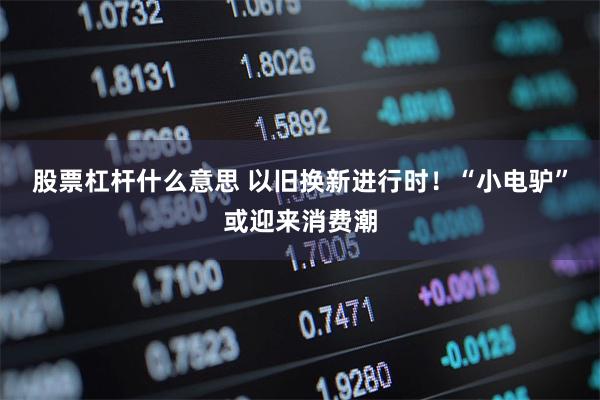 股票杠杆什么意思 以旧换新进行时！“小电驴”或迎来消费潮