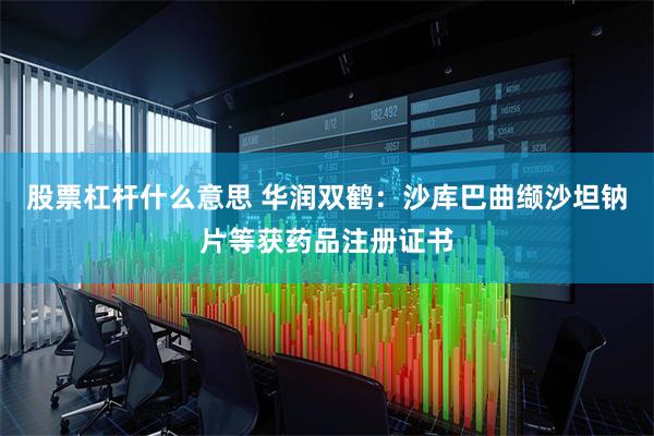 股票杠杆什么意思 华润双鹤：沙库巴曲缬沙坦钠片等获药品注册证书