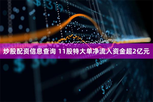 炒股配资信息查询 11股特大单净流入资金超2亿元
