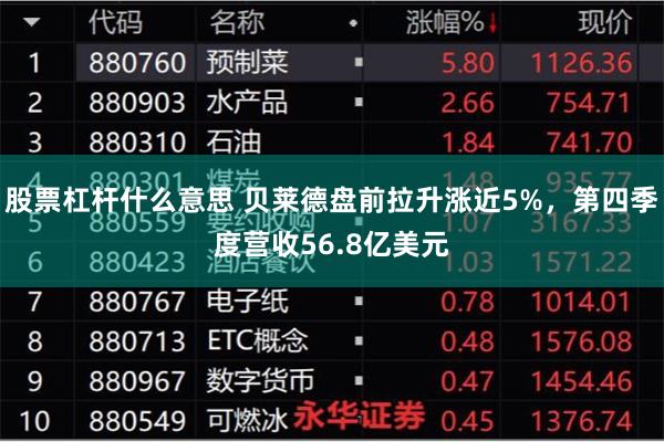 股票杠杆什么意思 贝莱德盘前拉升涨近5%,第四季度营收56.8亿美元