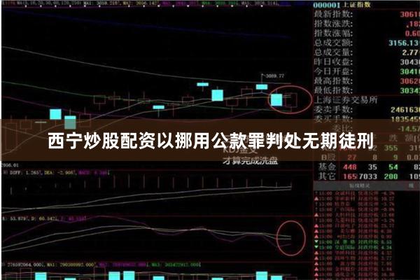 西宁炒股配资以挪用公款罪判处无期徒刑