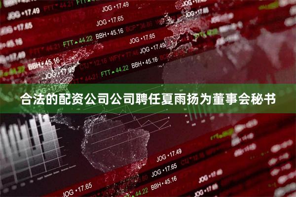 合法的配资公司公司聘任夏雨扬为董事会秘书