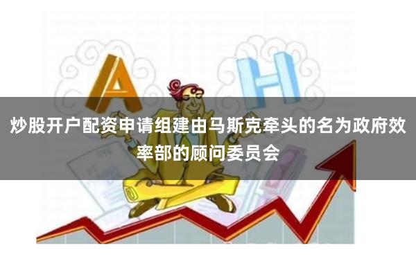 炒股开户配资申请组建由马斯克牵头的名为政府效率部的顾问委员会