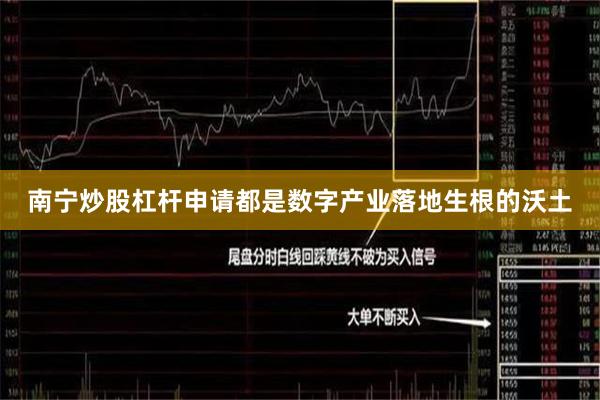 南宁炒股杠杆申请都是数字产业落地生根的沃土